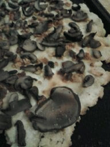 Sloth (USA-2) : Mondo Portobello